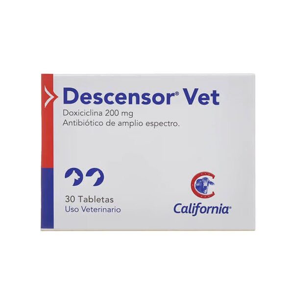 DESCENSOR - VET - Image 2