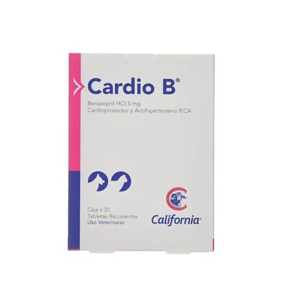 CARDIO - B